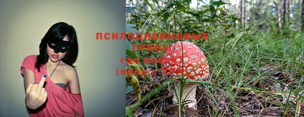 таблы Аркадак